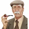 Moustache et sourcils vieillard adulte