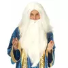 Parrucca da mago con barba da uomo