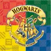 20 Serviettes en papier Harry Potter™ 33 x 33 cm