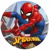 Disque azyme Spiderman ™ 20 cm