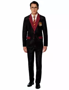 Costume adulto da Mr. Grifondoro Suitmeister, Taglia: M(EU50)