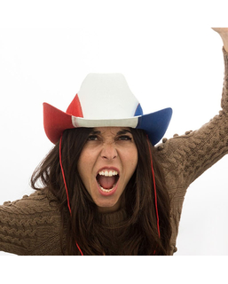  Cowboyhut mit Frankreich-Flagge, fig. 1 