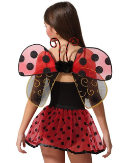  Accessoire de costumes Coccinelle (2 pcs), fig. 1 