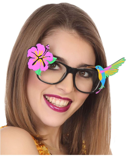  Lunettes Accessoires de costumes Tropical Multicouleur, fig. 1 