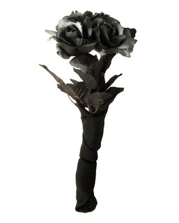  Bouquet roses noires, fig. 1 