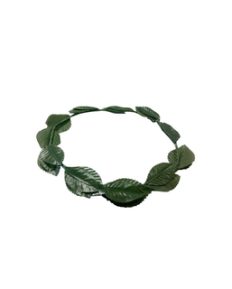  Couronne laurier verte adulte, fig. 1 