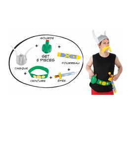  Asterix und Obelix™-Accessoire-Set Asterix 5-teilig bunt, fig. 1 