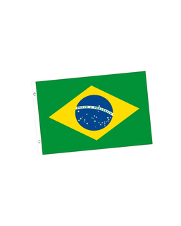  Brasilianische Flagge 150 x 90 cm, fig. 1 