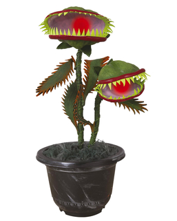  Plante carnivore animée 42 cm, fig. 1 