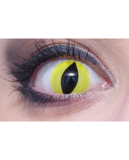  Lentilles fantaisie oeil reptile jaune 3 mois adulte, fig. 1 