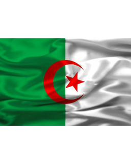  Drapeau supporter Algérie, fig. 1 