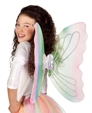  Ailes papillon multicolore, fig. 1 