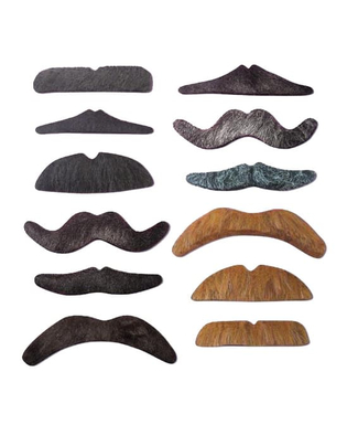  Lot 12 moustaches, fig. 1 