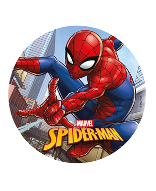  Disque azyme Spiderman ™ 20 cm, fig. 1 