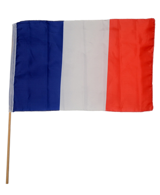  Drapeau de supporter France, fig. 1 