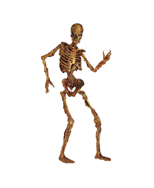  Bewegliches Skelett Dekofigur Halloween 180 cm im verwesten Zustand, fig. 1 