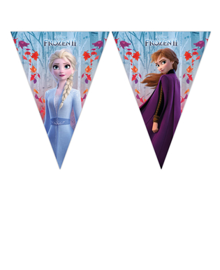  Guirlande fanion La Reine des Neiges 2™ 230 x 25 cm, fig. 1 