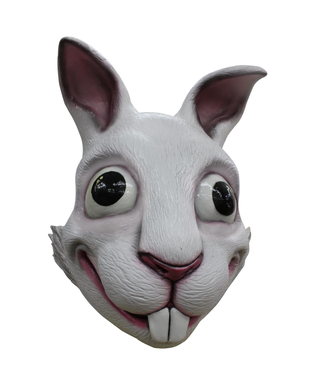  Masque Lapin Adulte, fig. 1 