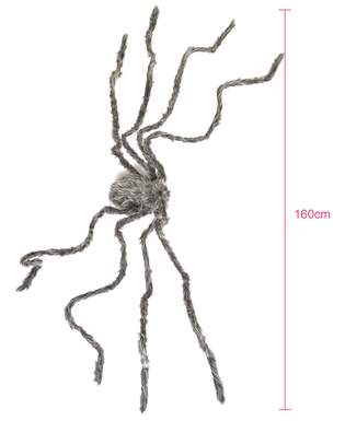  Graue haarige Spinne, fig. 3 