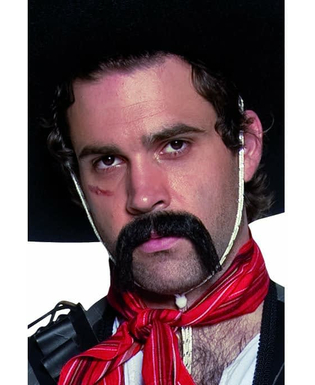  Moustache noire western mexicain adulte, fig. 1 