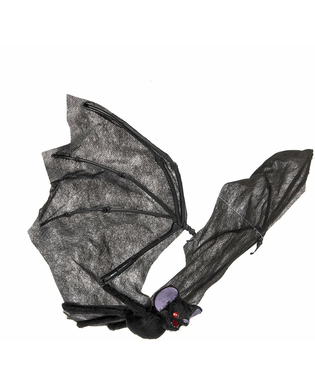  Fliegende Fledermaus, fig. 1 