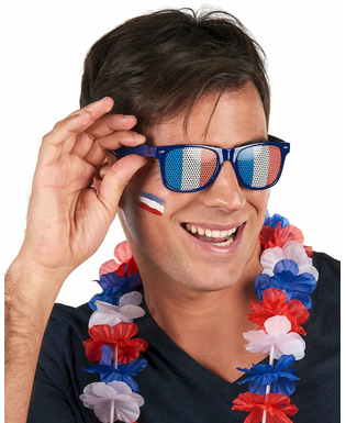  Lunettes supporter avec drapeau France adulte, fig. 2 