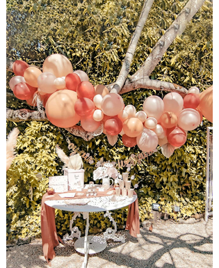  Kit arche de 70 ballons boho avec pampa et feuilles séchées, fig. 2 