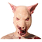  Masque Halloween Cochon, fig. 1 