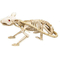  Squelette My Other Me Animal Décoration d'Halloween, fig. 3 