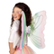  Ailes papillon multicolore, fig. 1 