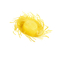  Chapeau Hawaï jaune adulte, fig. 1 