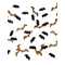 Confettis chauve-souris noir et or 15g 1,7 x 0,7 cm et 2,5 x 0,7 cm, fig. 1 