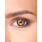  Lentilles fantaisie monstre orange 3 mois adulte, fig. 1 