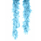  Boa turquoise, fig. 1 