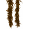  Braune Boa, fig. 1 