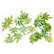  24 Confettis de table forme palmier vert 10 g, fig. 1 