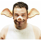  Nez cochon adulte, fig. 2 