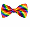  Noeud papillon multicolore adulte, fig. 2 