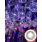  Guirlande lumineuse multicolore 5 m, fig. 2 