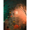  Lanterne lumineuse 15 x 8 cm, fig. 2 
