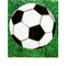  Fussball-Tischdecke aus Kunststoff grün-weiss 120 x 180 cm, fig. 2 