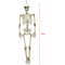  Squelette articulé 90 cm Halloween, fig. 3 