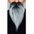  Fausse barbe My Other Me Gris, fig. 1 
