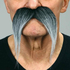  Moustache My Other Me Gris, fig. 1 