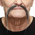  Moustache My Other Me Gris, fig. 1 