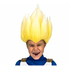  Perruques Sayan Vegeta, fig. 1 