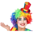  Chapeau de clown, fig. 1 
