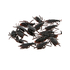  12 schwarz Kakerlaken 6 cm für Halloween, fig. 1 