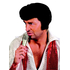  Perruque star du rock homme, fig. 1 