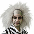  Perruque Beetlejuice adulte, fig. 1 